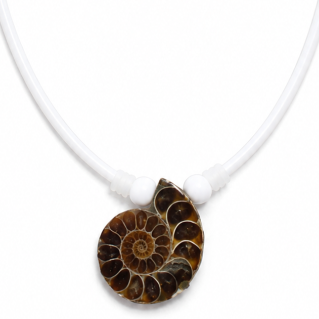 AMMONITE AMULET
